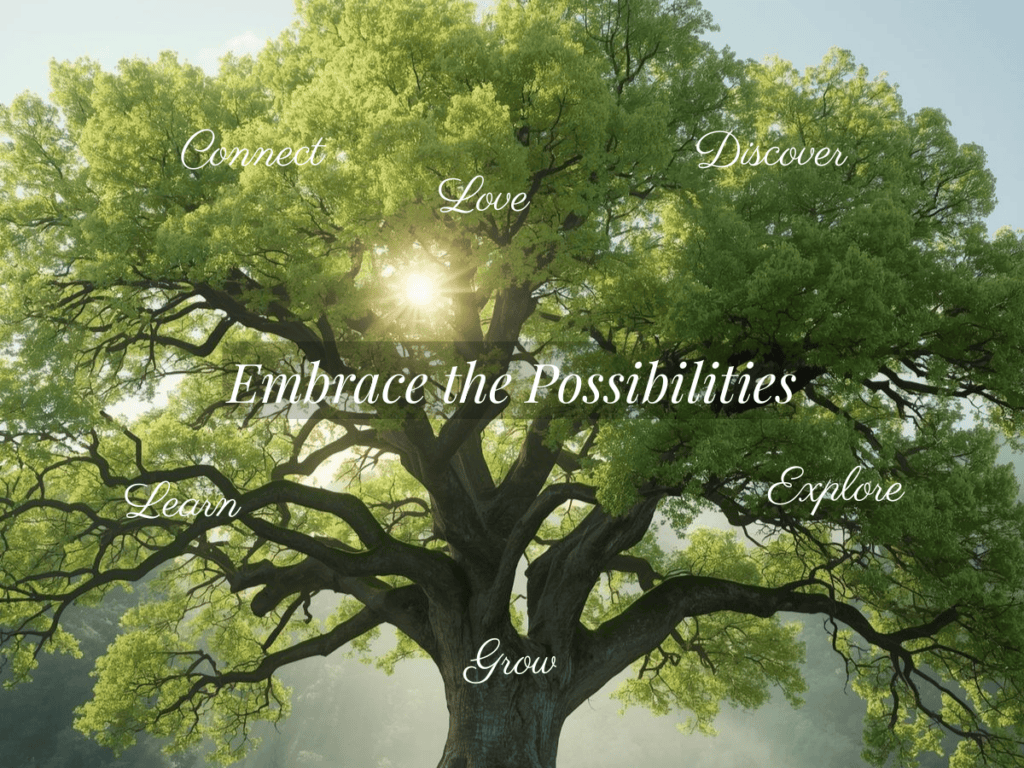 Inspiring tree with sunlight, symbolizing midlife reinvention and personal growth.